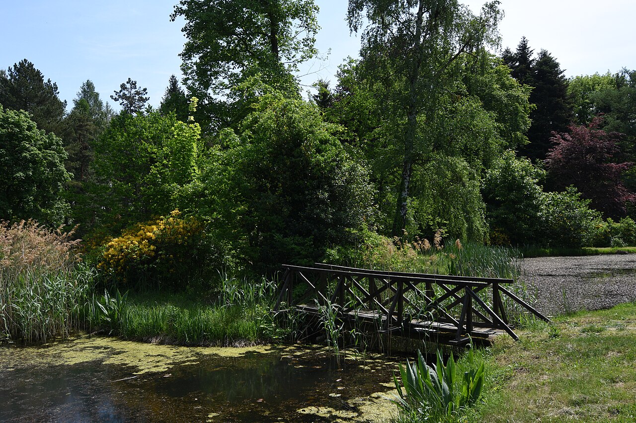 Arboretum Kámon