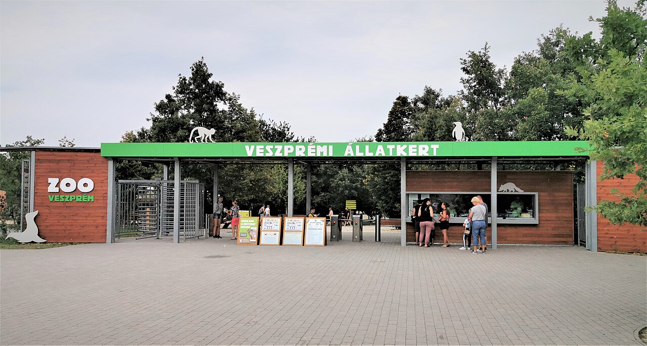 Zoo Kittenbergera