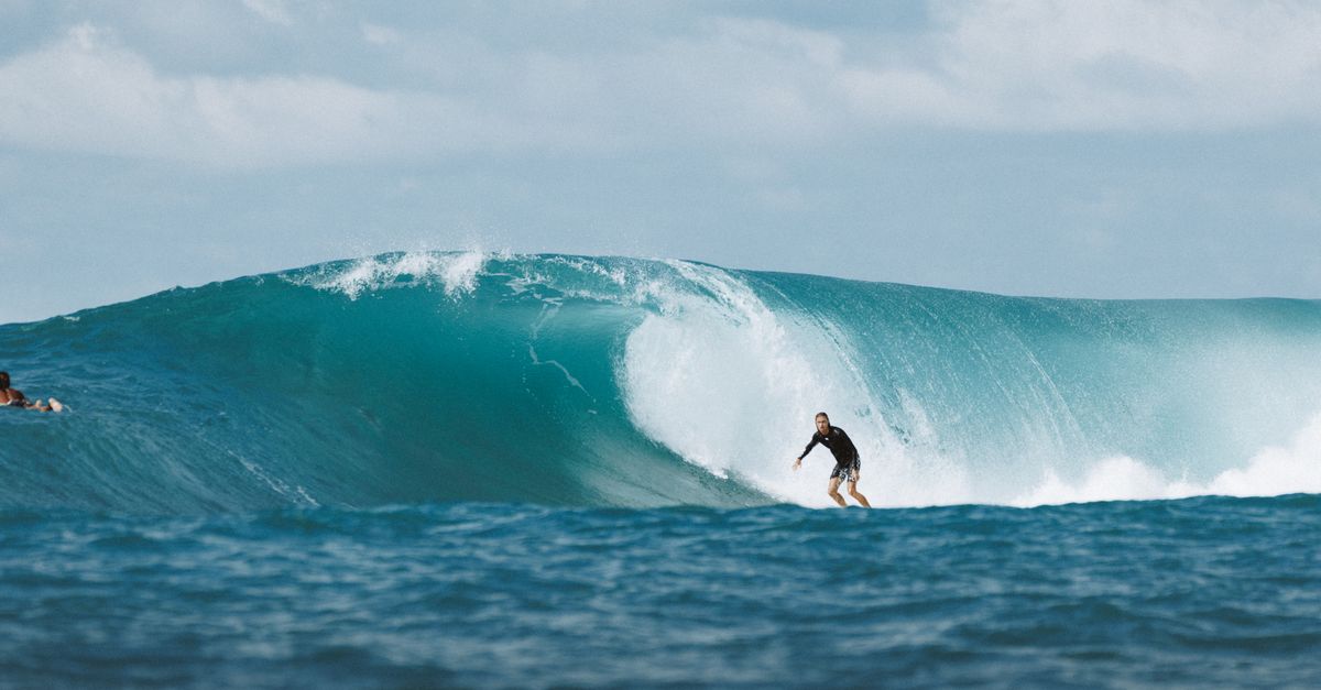 Fale i surf charter