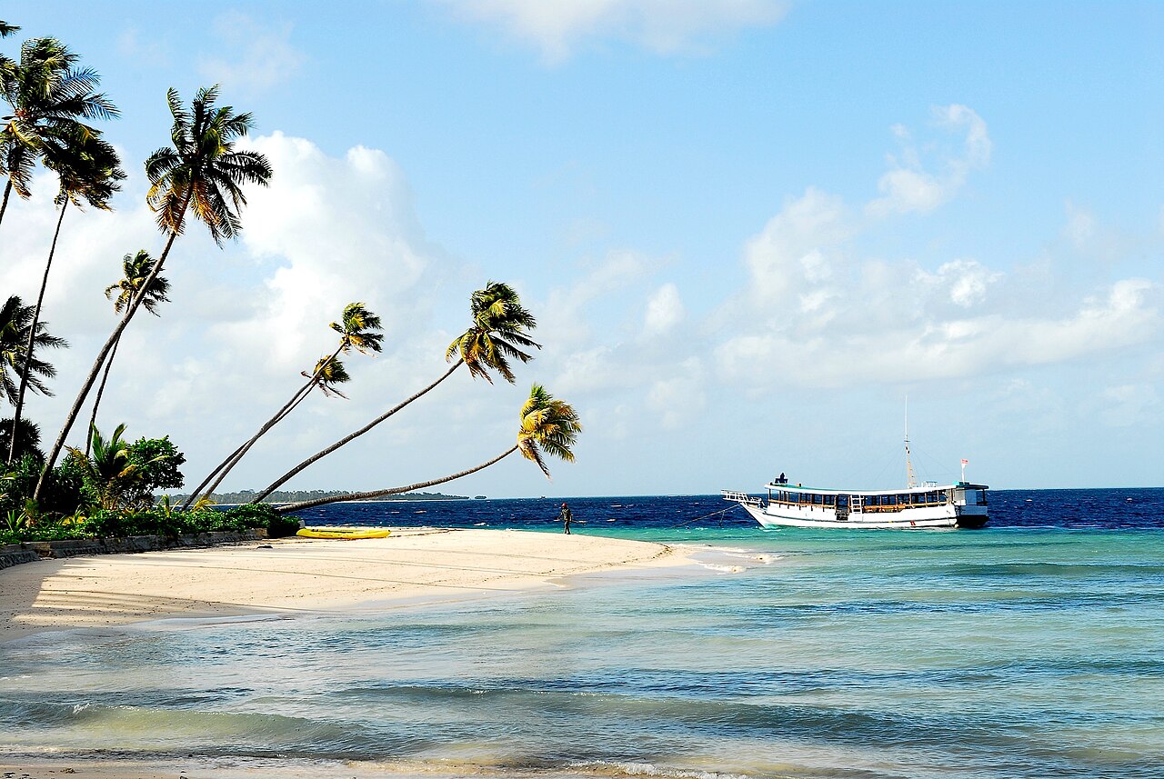 Nurkowanie na rafach Wakatobi