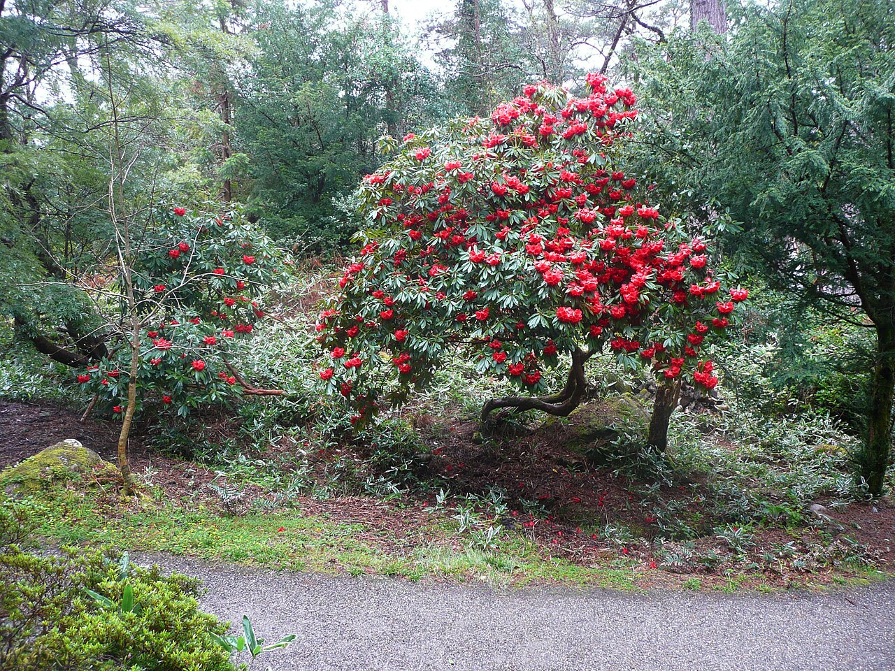 Ogrody Glenveagh