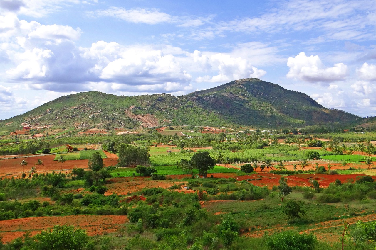 Wycieczka do Nandi Hills
