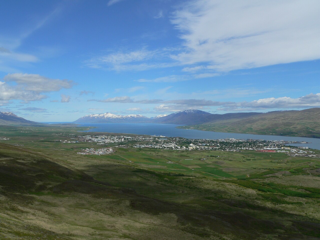 Obserwacja wielorybów w Eyjafjörður