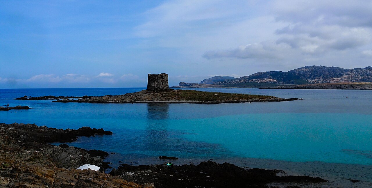 Pelosetta i Torre della Pelosa