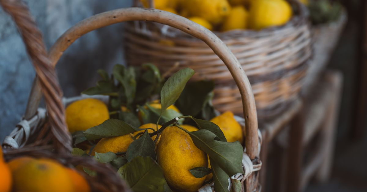 Limoncello i cytryny