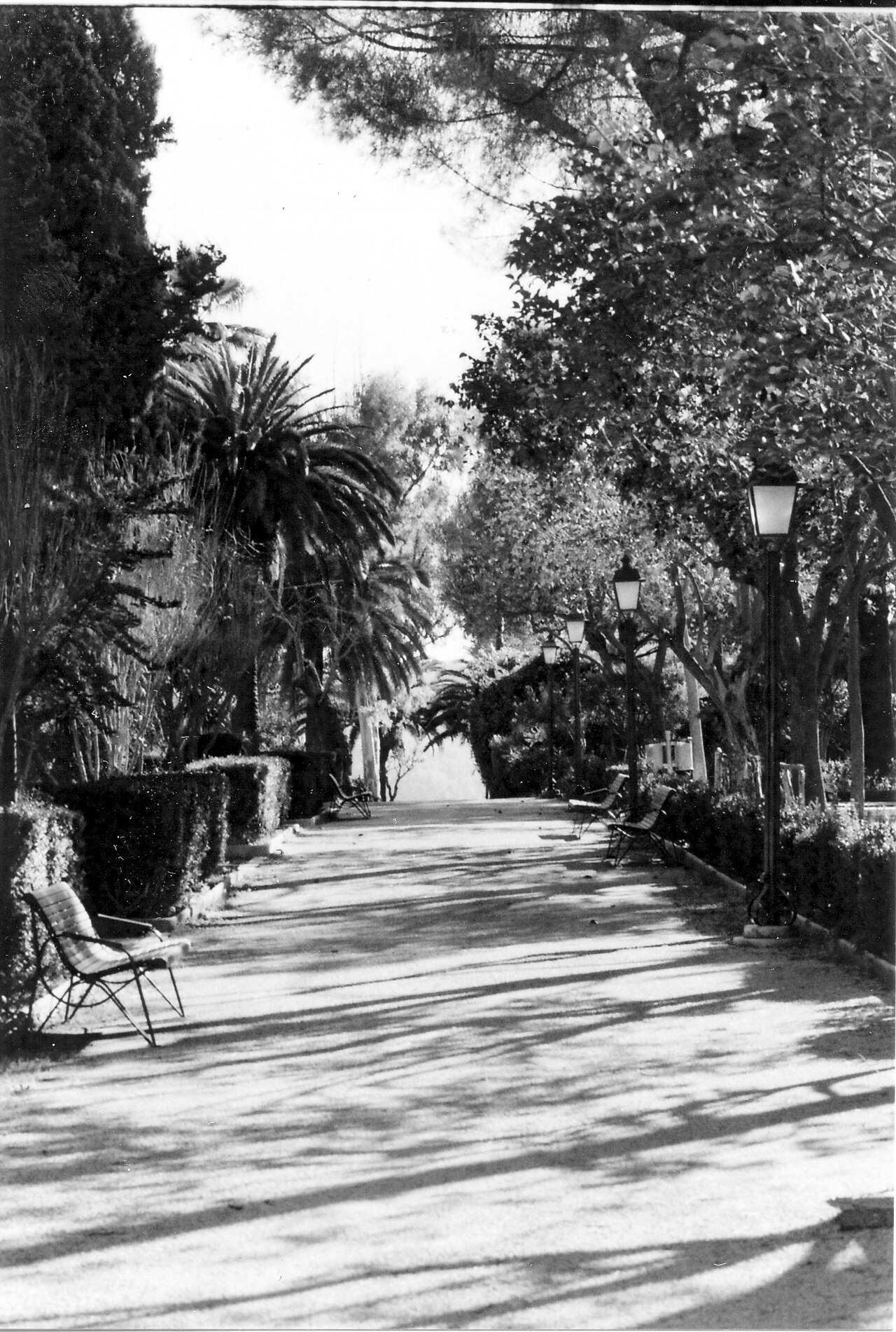 Giardino Ibleo