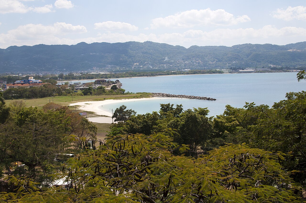 Nurkowanie na rafach Montego Bay