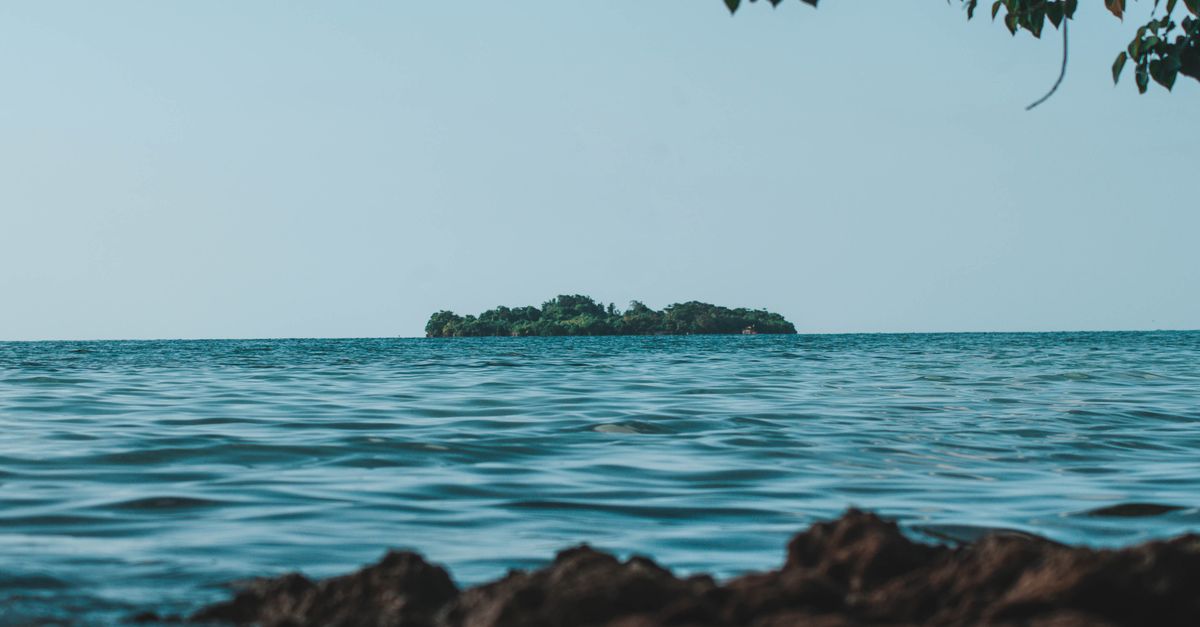 Navy Island