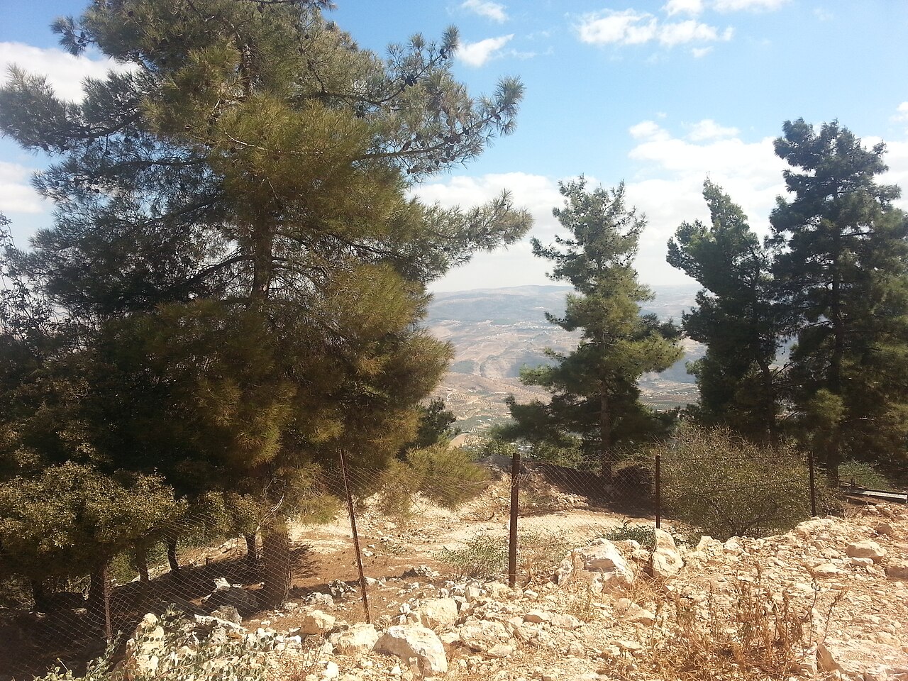 Rezerwat Ajlun Forest