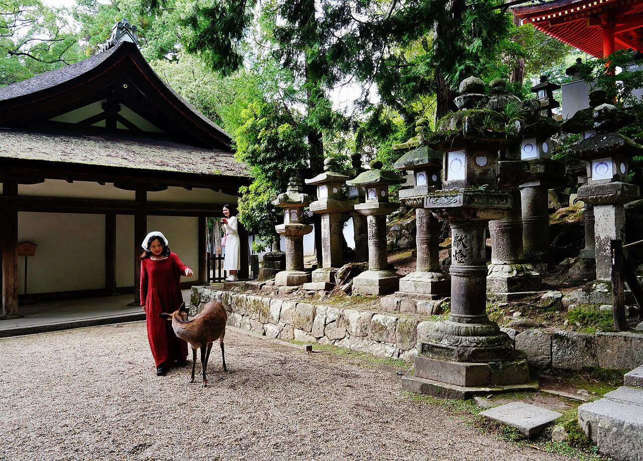 Kasuga Taisha i latarnie