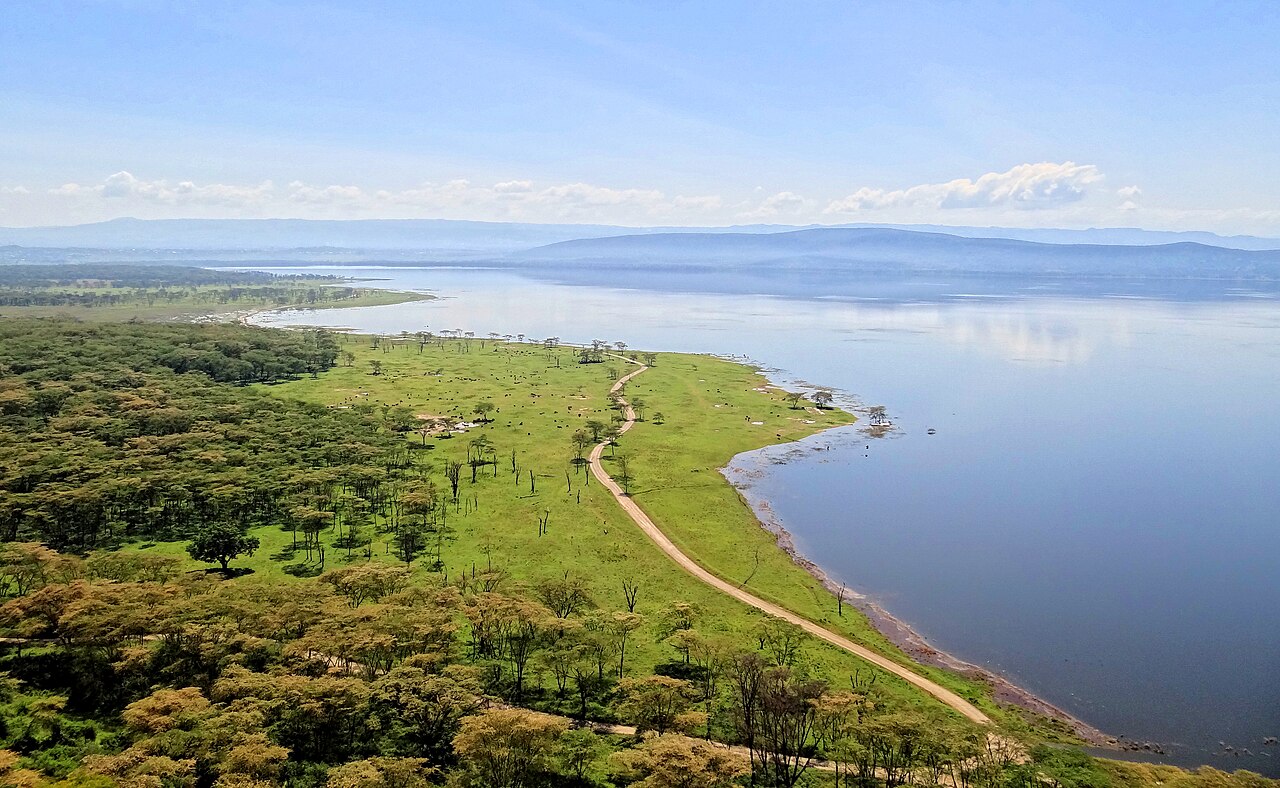 Jezioro Nakuru