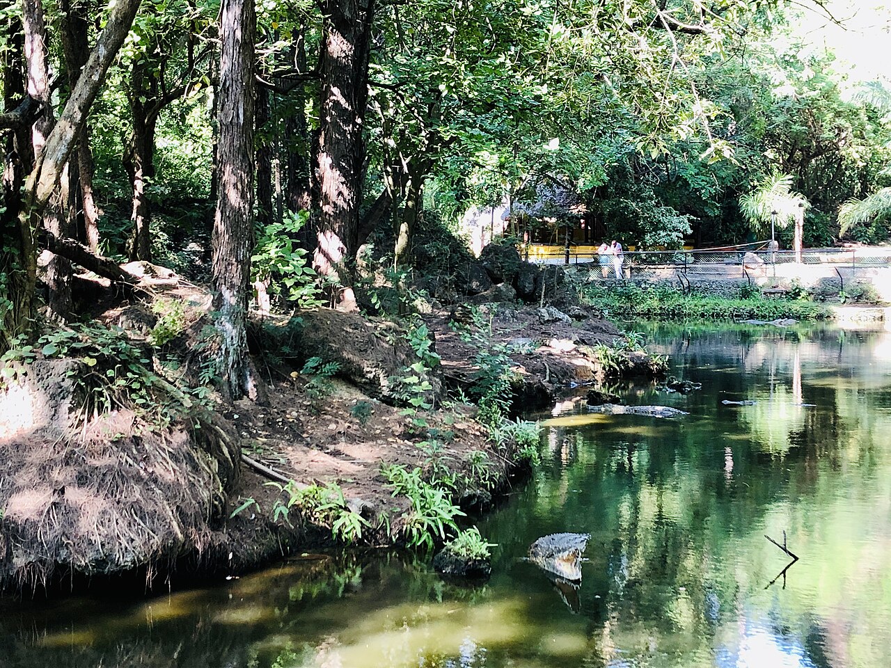 Park ekologiczny Haller