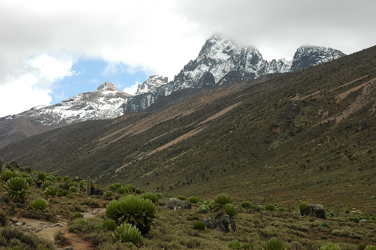 Park Narodowy Mount Kenya