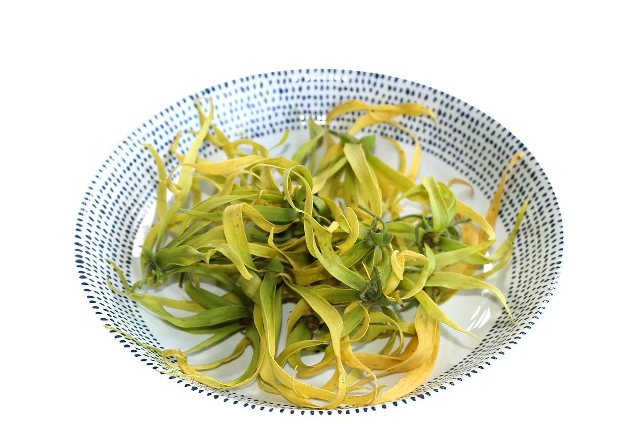 Plantacje ylang-ylang
