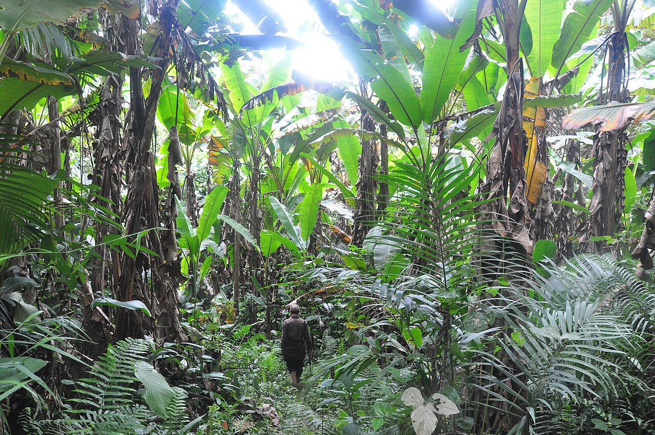 Trekking w parku Nam Ha