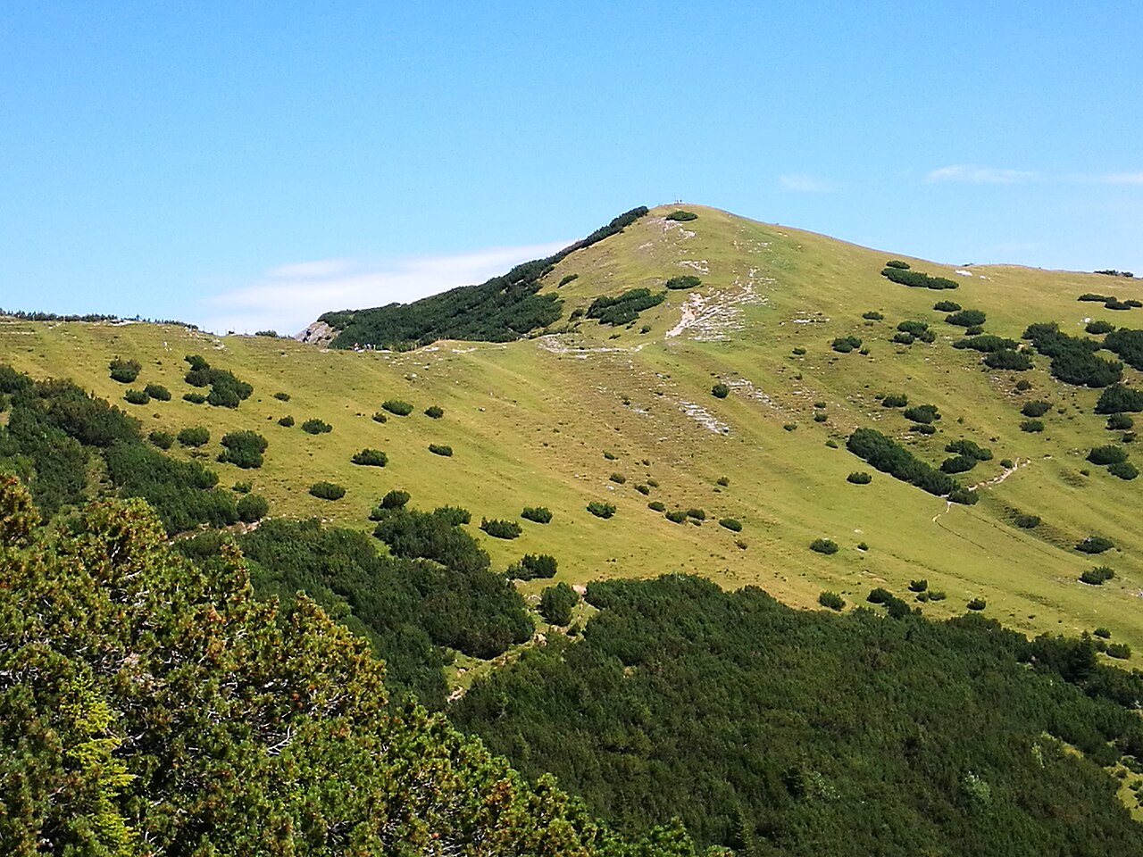 Szlaki Alp Rätikon ze Steg