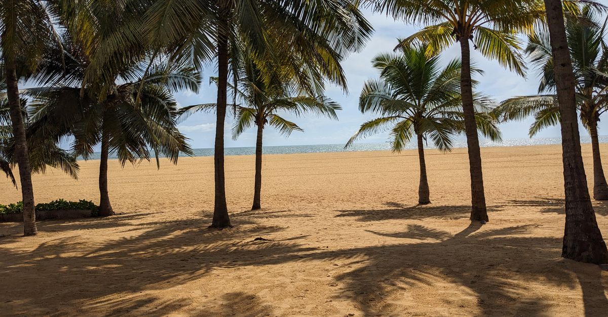 Plaża Negombo i promenada
