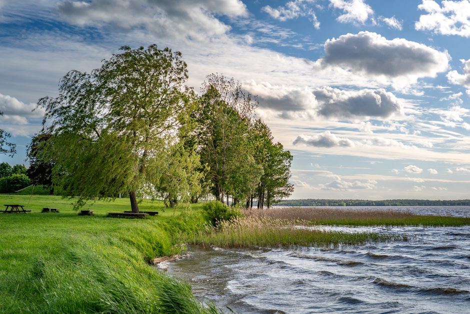 Jezioro Rėkyva pod Szawlami