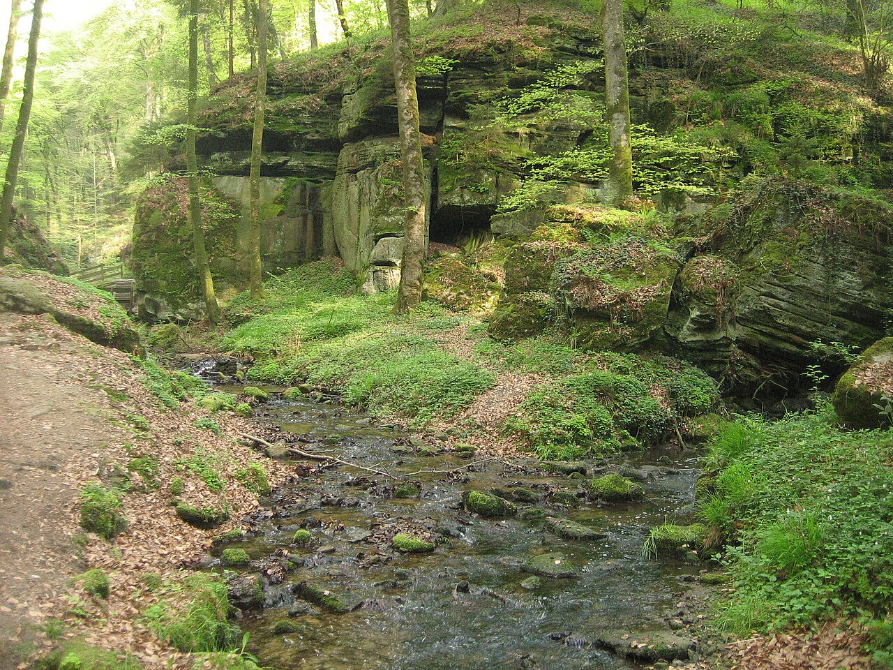 Dolina Haupeschbaach