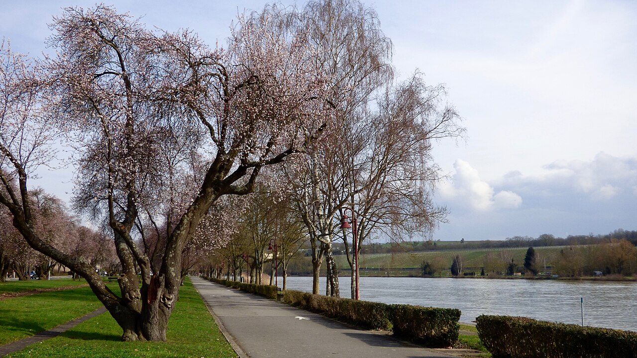 Esplanada nad Mozelą