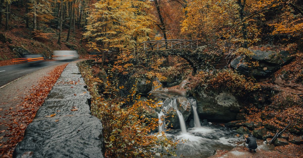 Szlak Mullerthal Trail