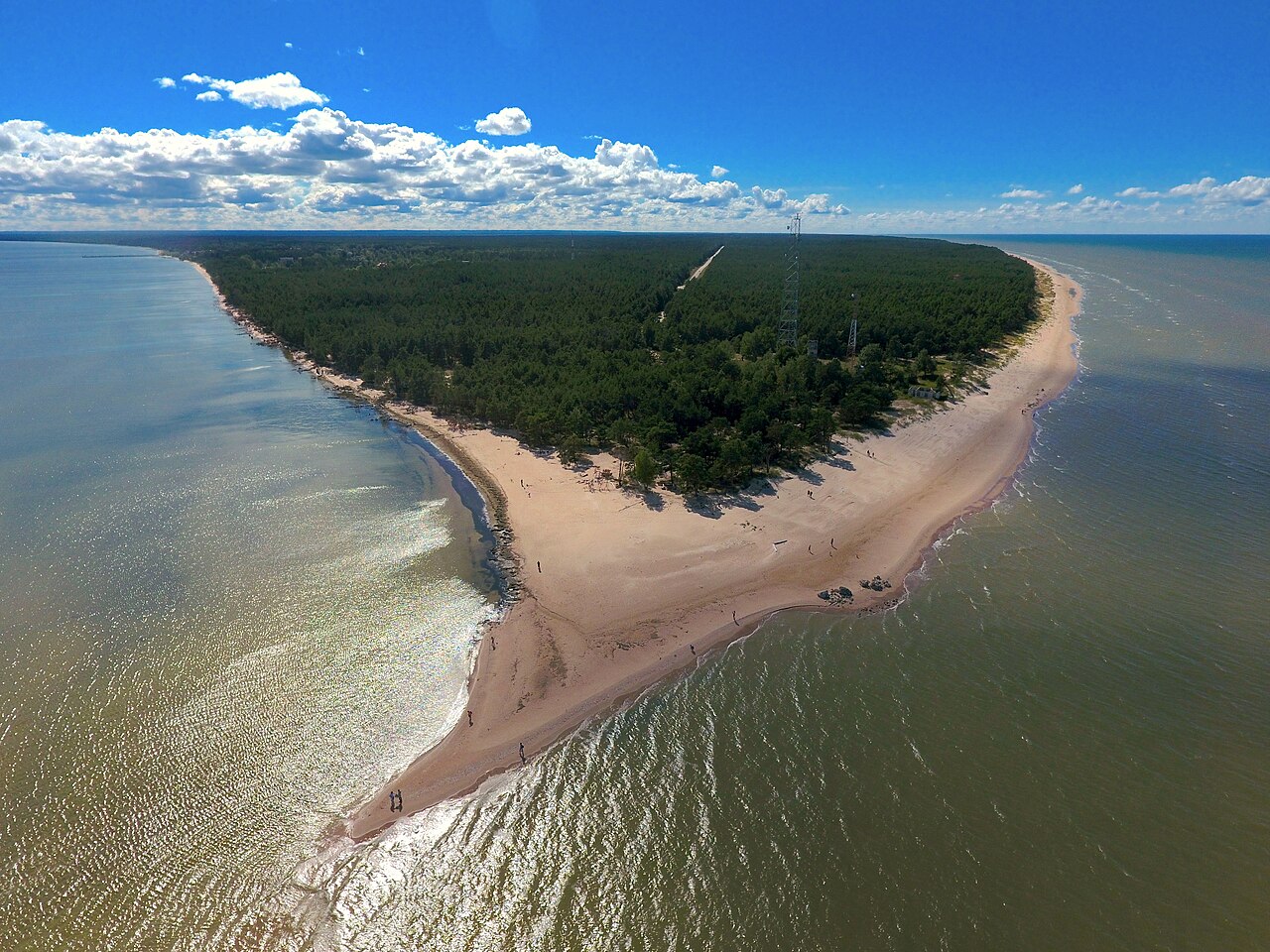 Przeloty ptaków nad przylądkiem