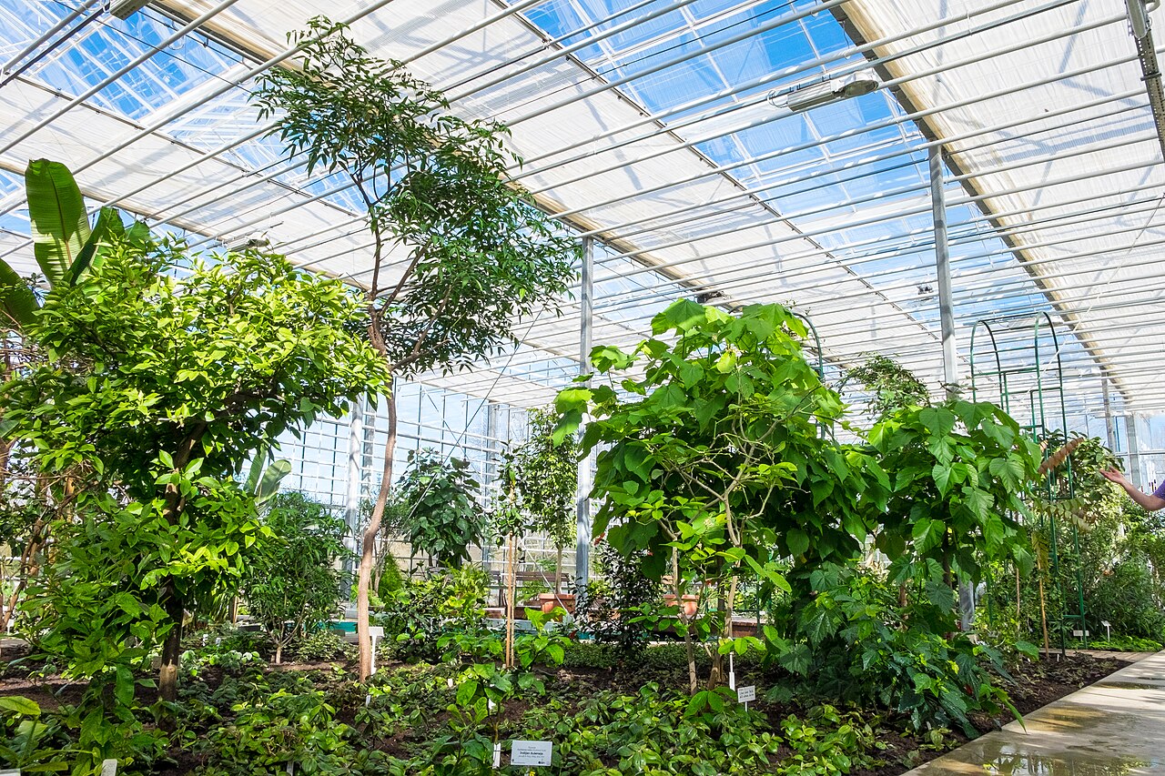 Narodowy Ogród Botaniczny