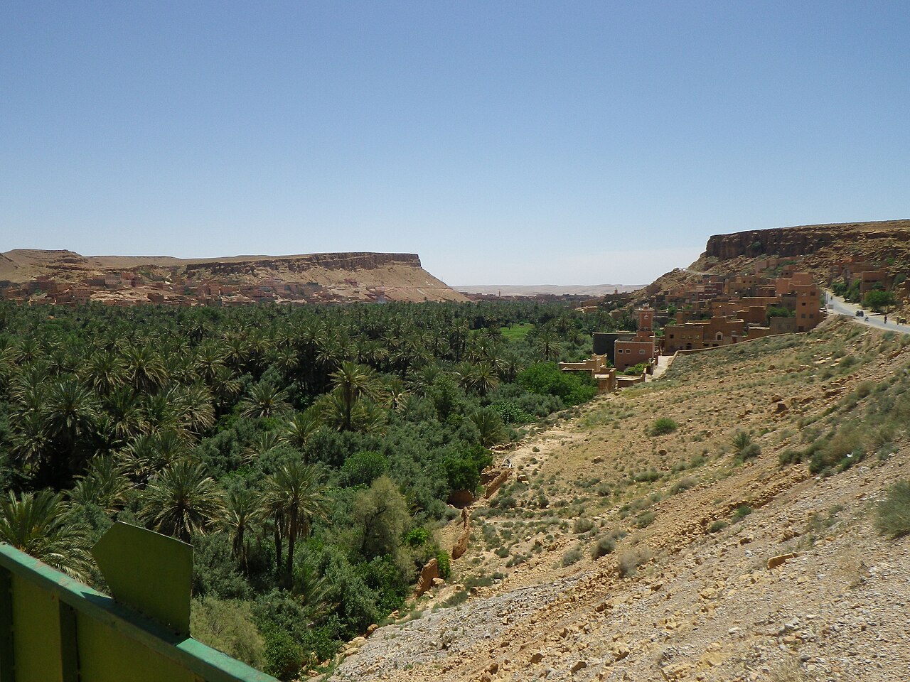 Palmeraie Tinghir