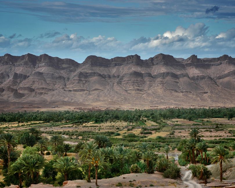Palmeraie Zagora