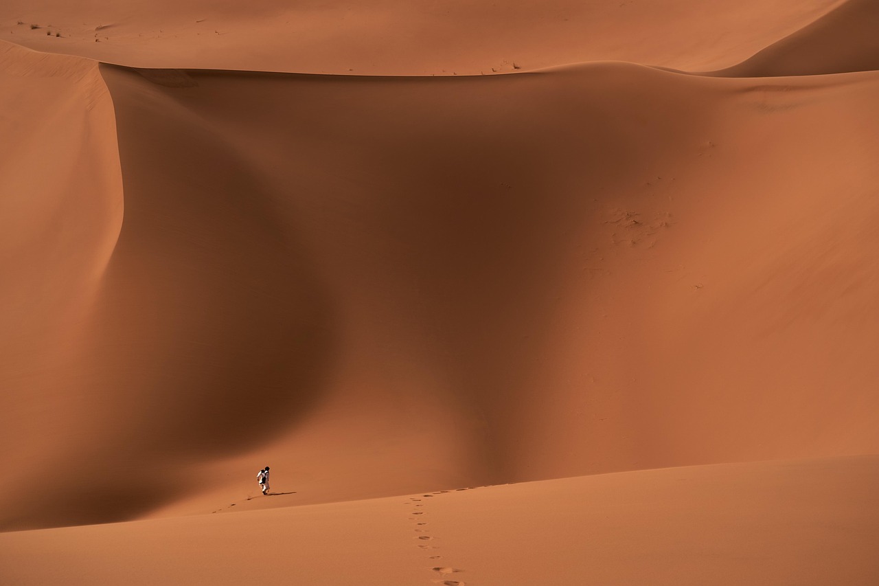 Wyprawa w pustynię White Dune