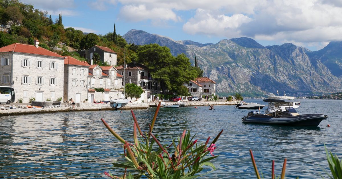 Kotor