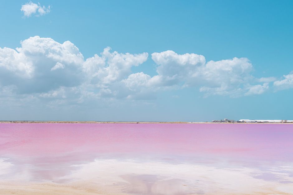 Różowe saliny Las Coloradas