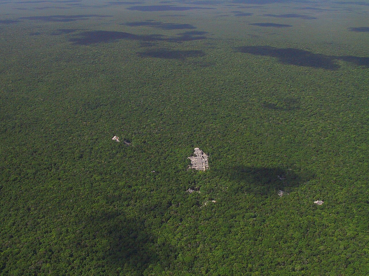 Las tropikalny Calakmul