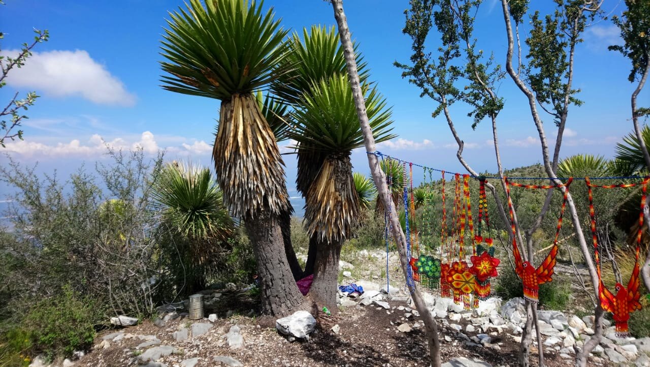 Cerro Quemado