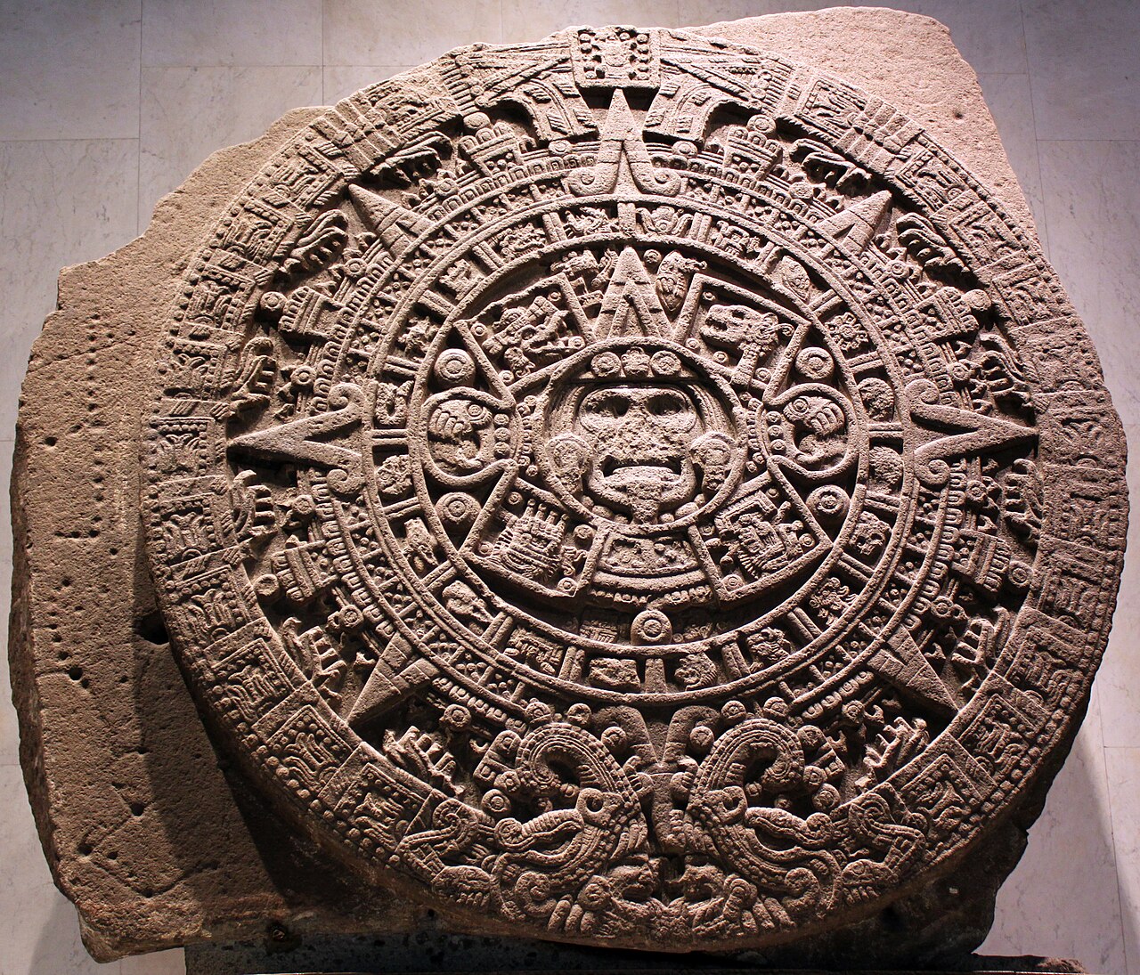 Muzeum Antropologii