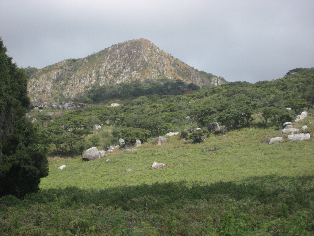 Trekking na górę Gorongosa