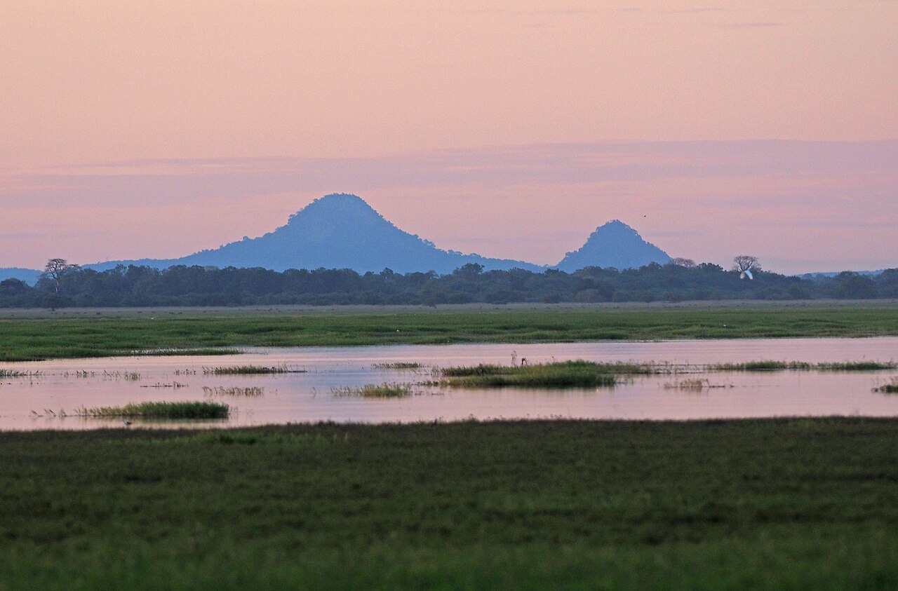 Obserwacja ptaków w Gorongosa