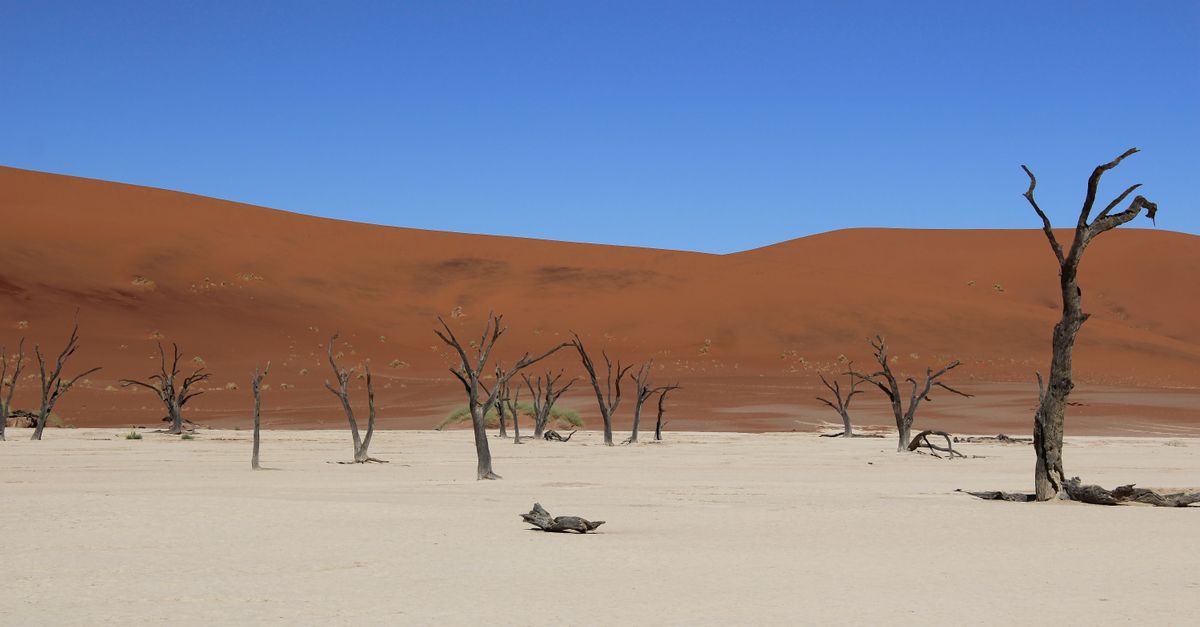 Sossusvlei