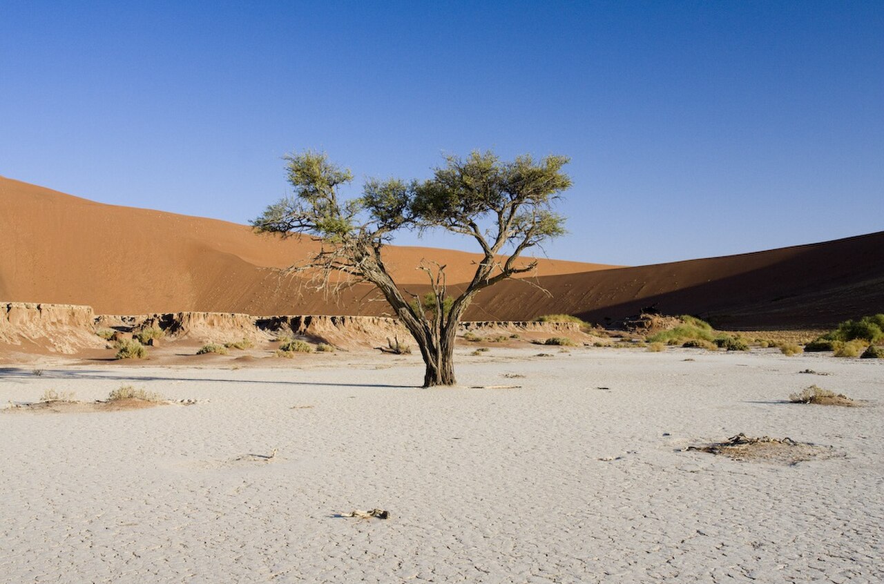 Deadvlei