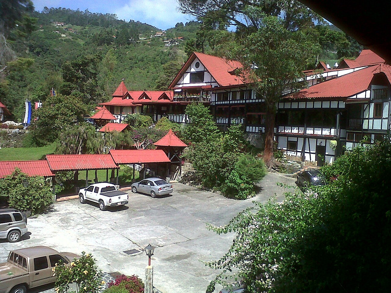 Selva Negra