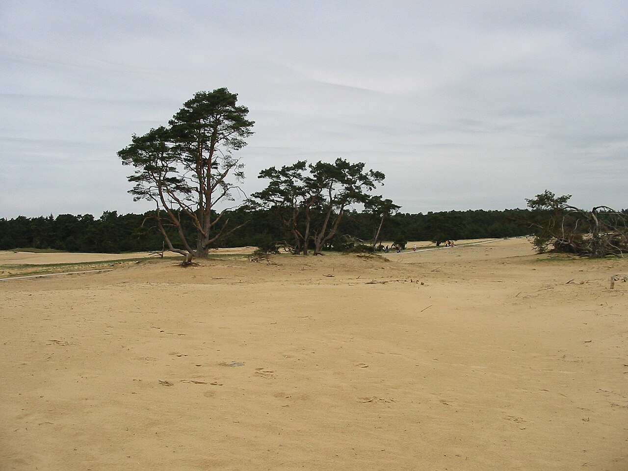 Hoge Veluwe