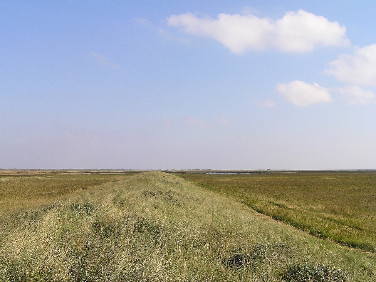 Rezerwat De Boschplaat