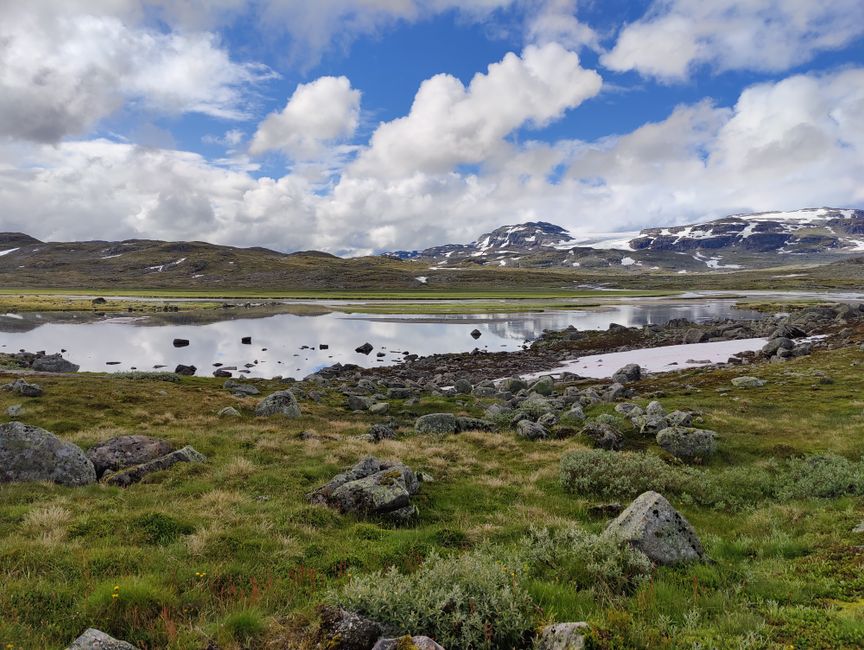 Finse i lodowiec Hardangerjøkulen