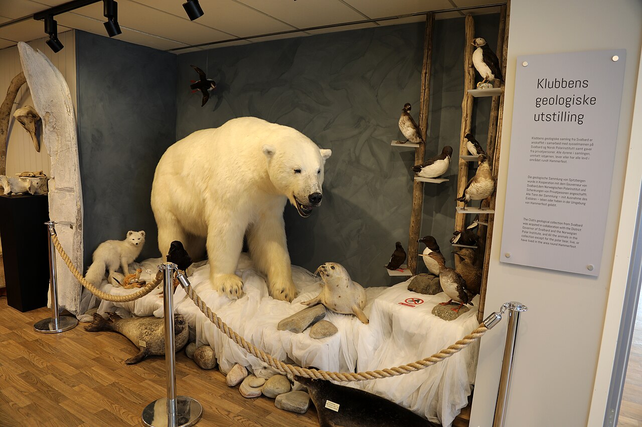 Królewskie Towarzystwo Niedźwiedzia Polarnego