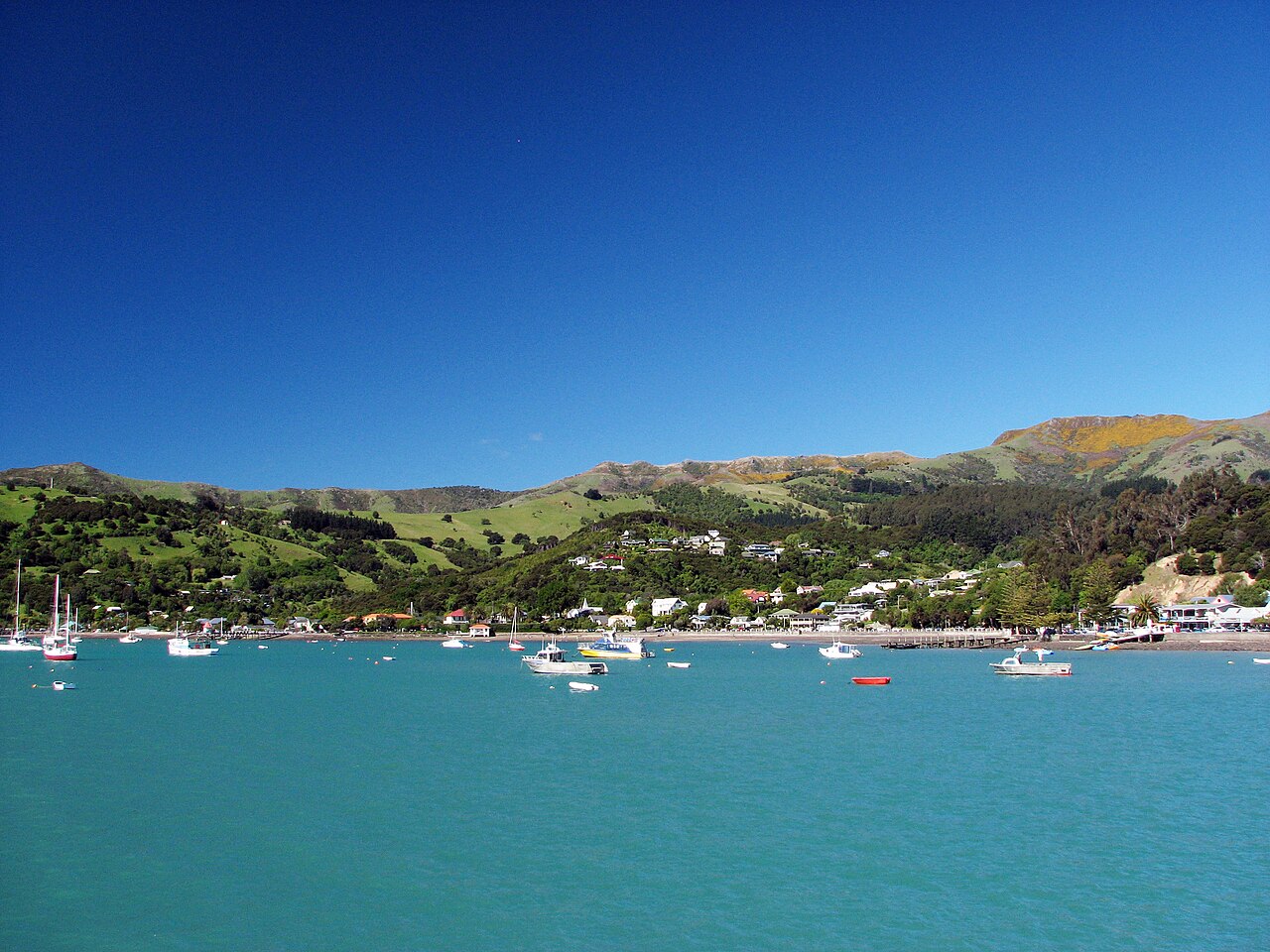 Wycieczka do Akaroa