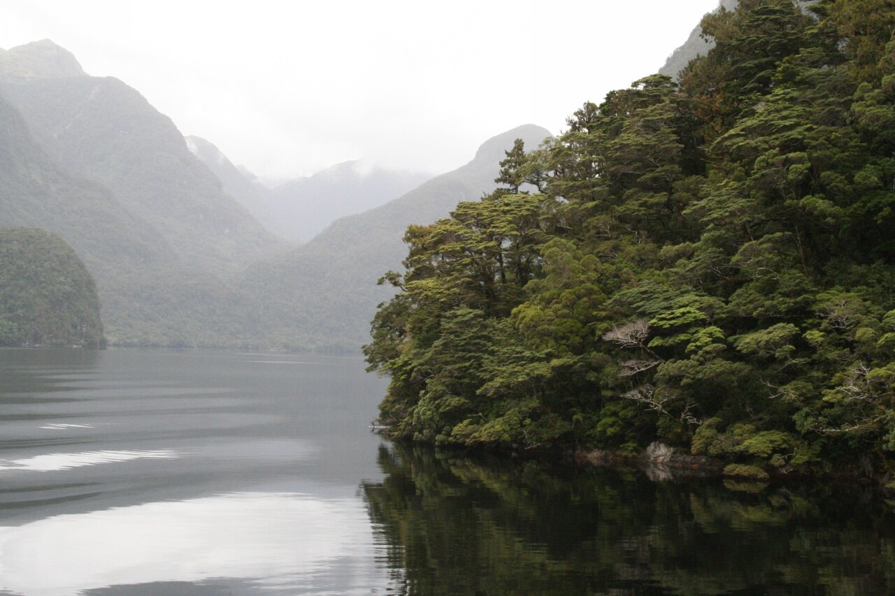 Doubtful Sound i cisza