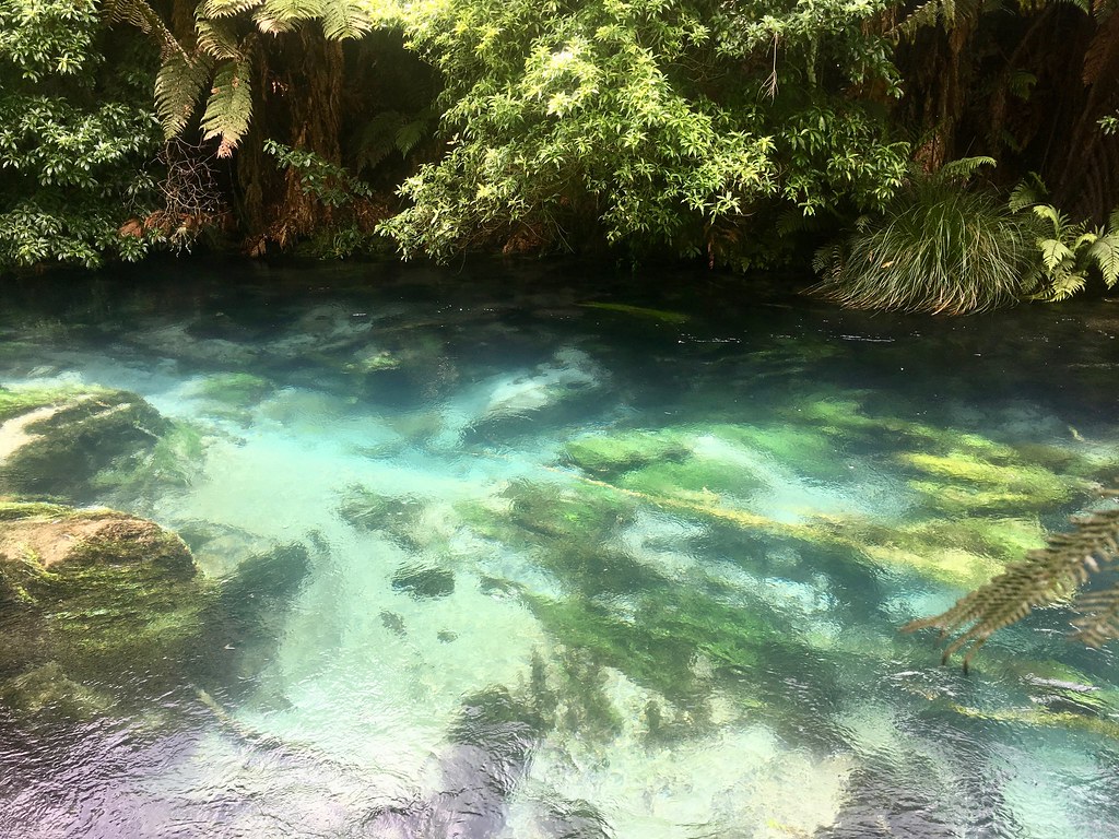 Waihou Blue Spring i okolice