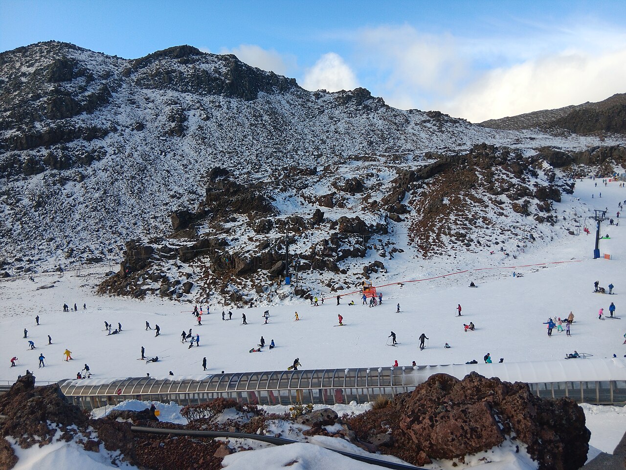 Whakapapa i narciarstwo