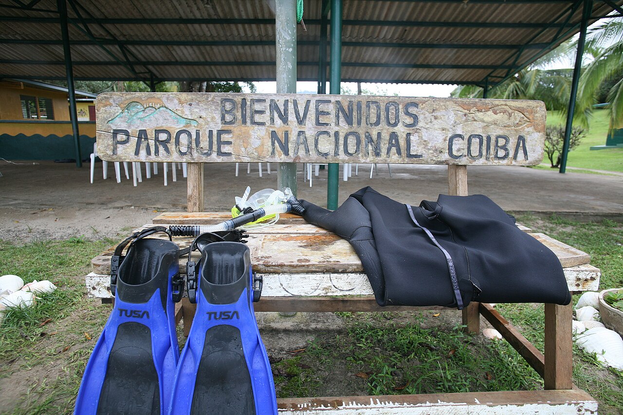 Park Narodowy Coiba, nurkowanie