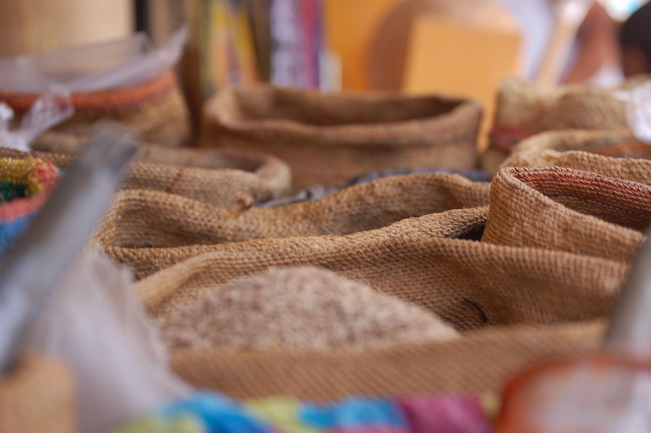 Mercado Modelo i arroz con pato
